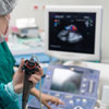 Certificate Course in Echocardiogram